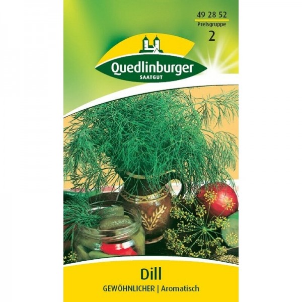 Dill gewöhnlicher Quedlinburger