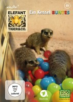 Elefant, Tiger & Co. Teil 49 DVD Elefant, Tiger & Co. Teil 49 DVD