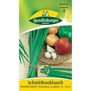 Schnittknoblauch mehrjährig Quedlinburger