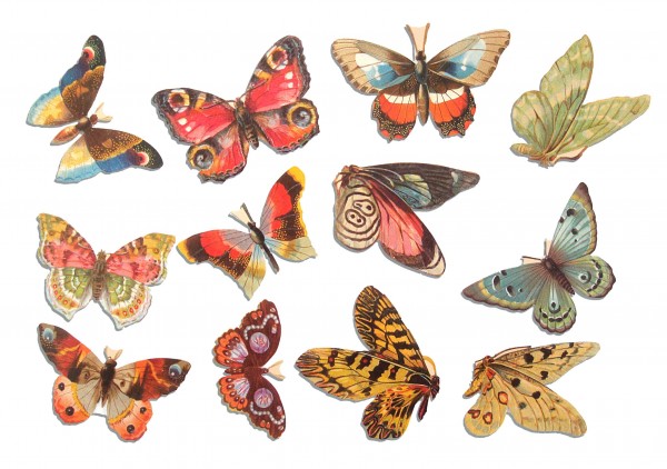 Streuer Schmetterlinge