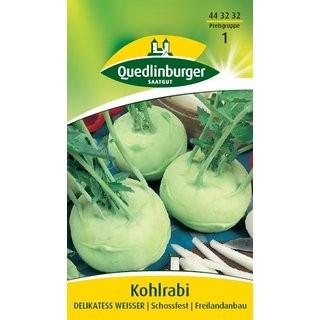 Kohlrabi Delikateß weißer Quedlinburger
