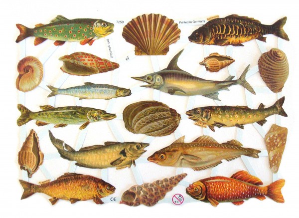 Glanzbilder, Fische u. Muscheln, ohne Glitter