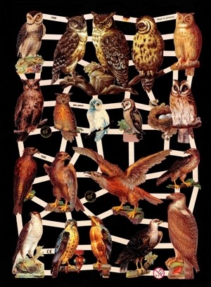 Glanzbilder, Eulen - Greifvögel, ohne Glitter