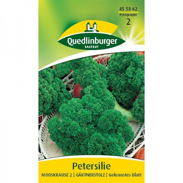 Petersilie Moskrul2 gekraustes Blatt Quedlinburger