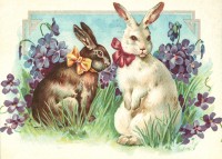 nostalgische Präge - Postkarte - 2 Hasen in der Wi