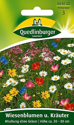 Wiesenblumen und Kräuter ohne Gras Quedlinburger