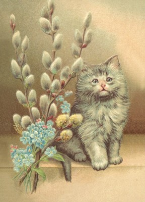 nostalgische Präge - Postkarte - Katze mit Weidenk