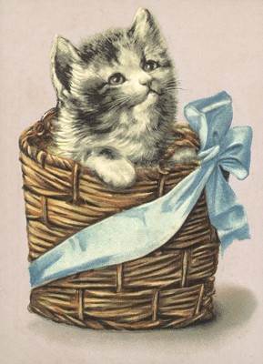 nostalgische Präge - Postkarte - Katze im Bastkorb