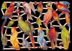 Glanzbilder, Papageien ,ohne Glitter