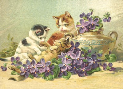 nostalgische Präge - Postkarte - 3 Kätzchen mit Ve