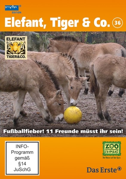 Elefant, Tiger & Co. Teil 36 DVD