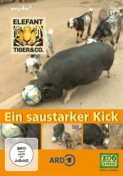 Elefant, Tiger & Co. Teil 57 DVD