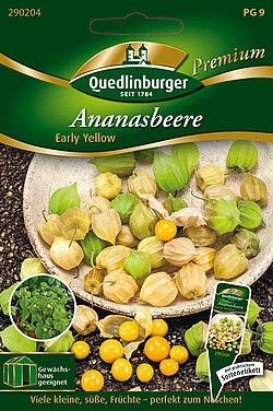 Ananasbeere Early Yellow Quedlinburger