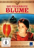 Die feuerrote Blume