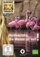 Elefant, Tiger & Co. Teil 42 DVD Elefant, Tiger & Co. Teil 42 DVD