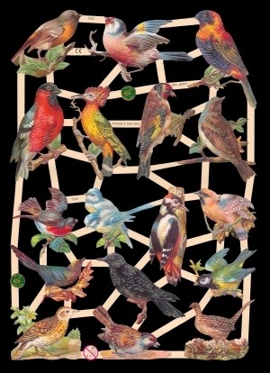 Glanzbilder, Vögel mit Glitter