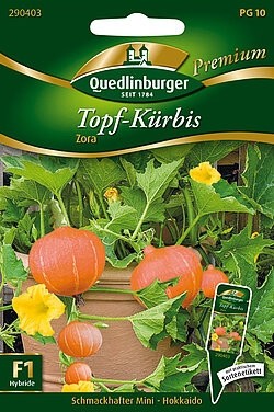 Mini Topf-Kürbis Hokkaido Zora Quedlinburger