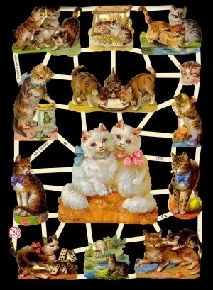 Glanzbilder, Katzen, ohne Glitter