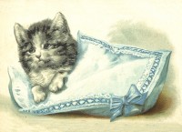 nostalgische Präge - Postkarte - Katze im Kissen