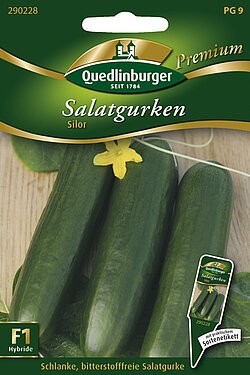 Freilandsalatgurken Silor Quedlinburger