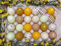 24 Ostereier 60mm Tropic/Natur für innen/aussen