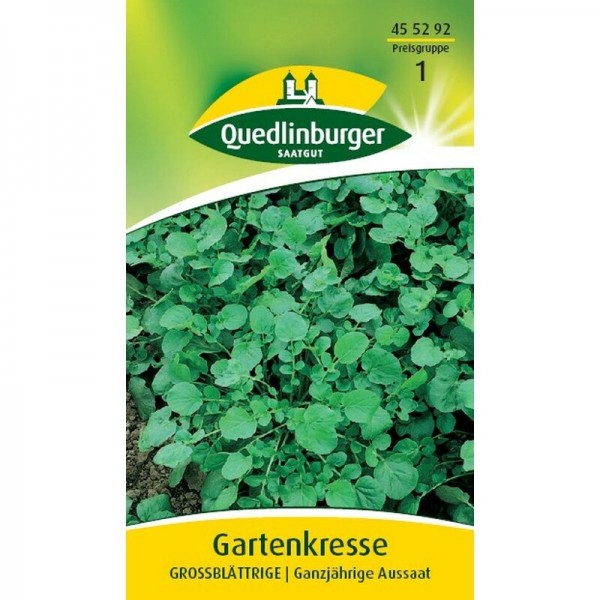 Gartenkresse Großblättrig Quedlinburger